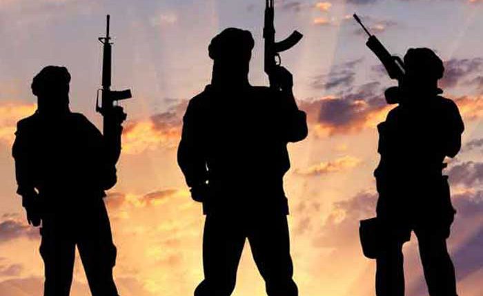 DNLA terrorists killed by security forces in Assam encounter