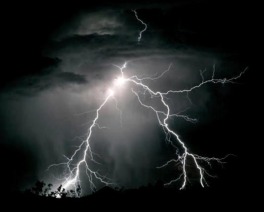 SRC Directs Ganjam Collector To Give Assistance For Cows Dead In Lightning