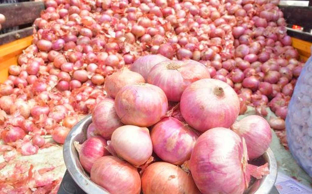 Odisha Govt To Construct Godowns In 5 Dists To Encourage Onion Farming