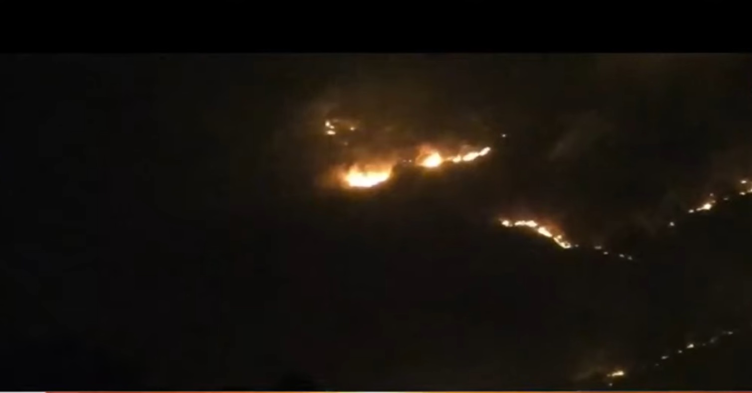 Fire Broke Out In Nilagiri Kuldiha Wildlife Sanctuary