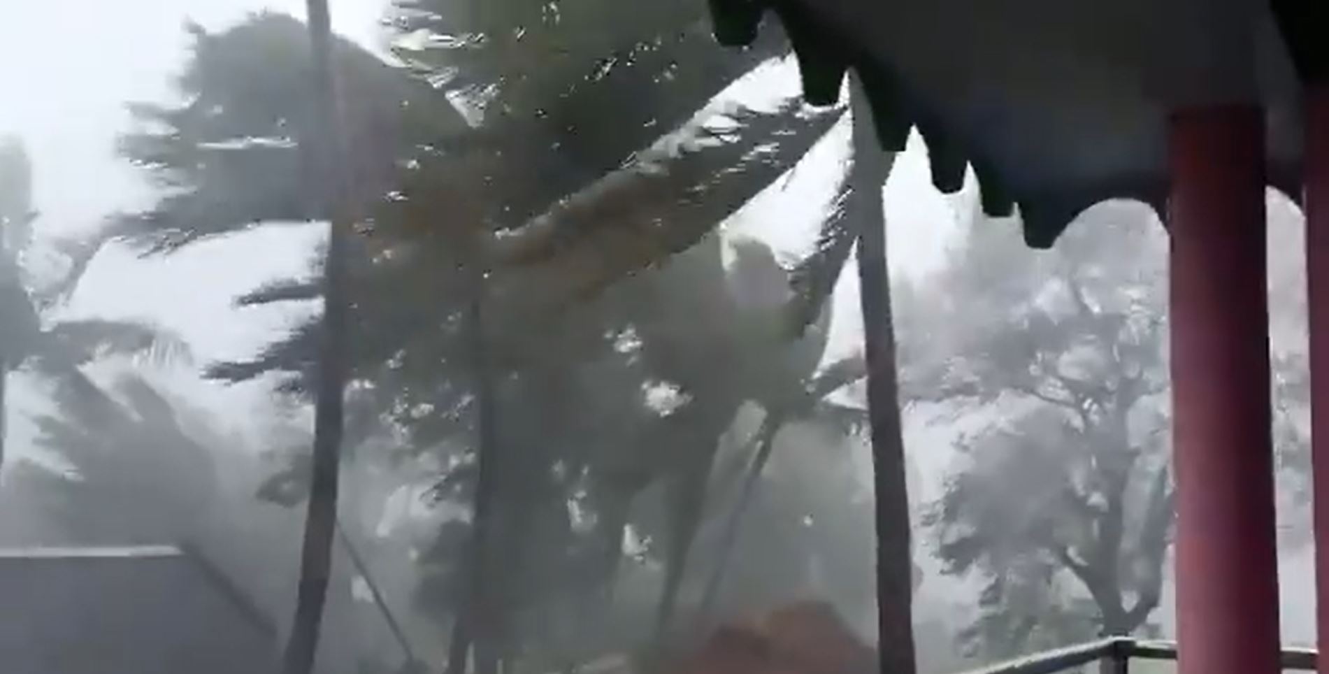 Cyclone Yaas, One Dies In Keonjhar After Tree Fall 