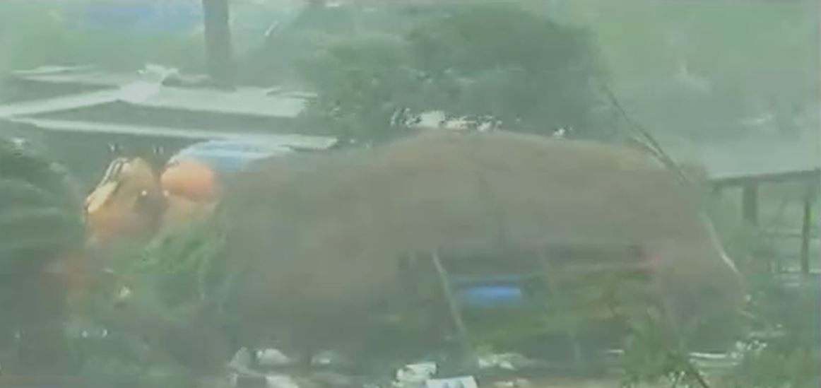 Cyclone Yaas, One Dies In Keonjhar After Tree Fall