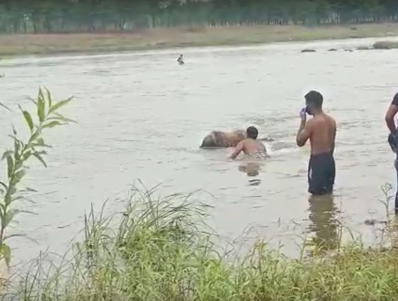 Dead Body Found In Bag In Tela River Of Kalahandi