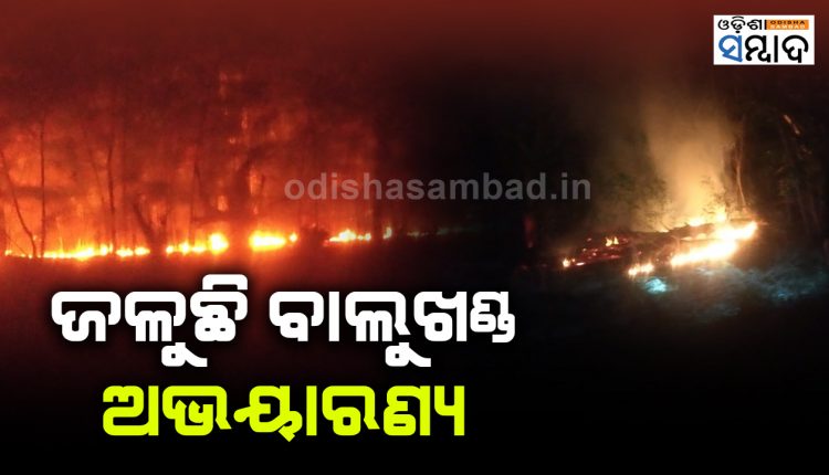 Fire In Puri Balukhand Sanctuary