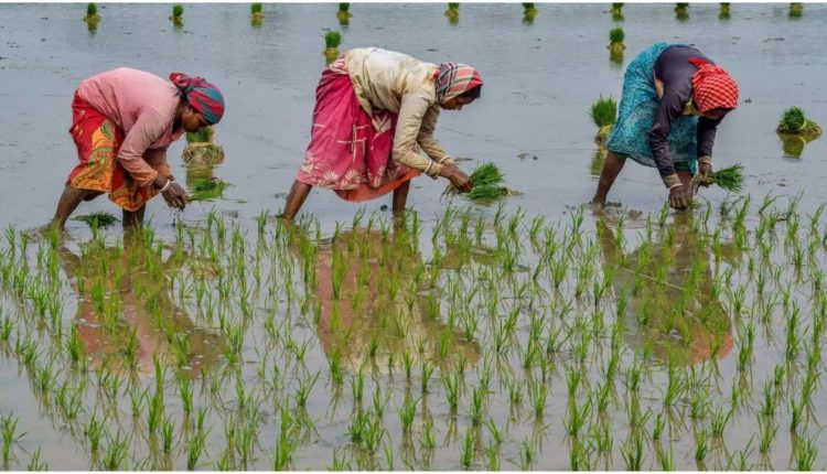 Attention, PM Kisan Beneficiary Must Do E-KYC To Receive Next Installment