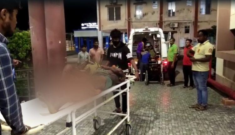 3-dead-2-injured-by-wild-bear-attack-in-nuapada-forest