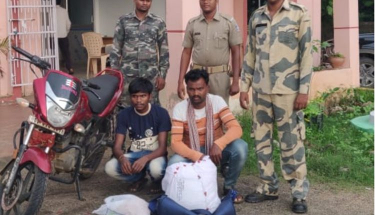 Golamunda Police Arrested Two Youth And Seized Ganja