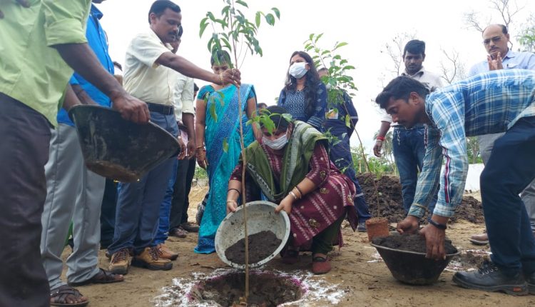 IOC Creates Forest Named Miawaki With Japan Technology In Paradeep