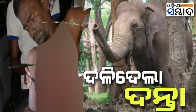 youth-injured-by-elephant-attack