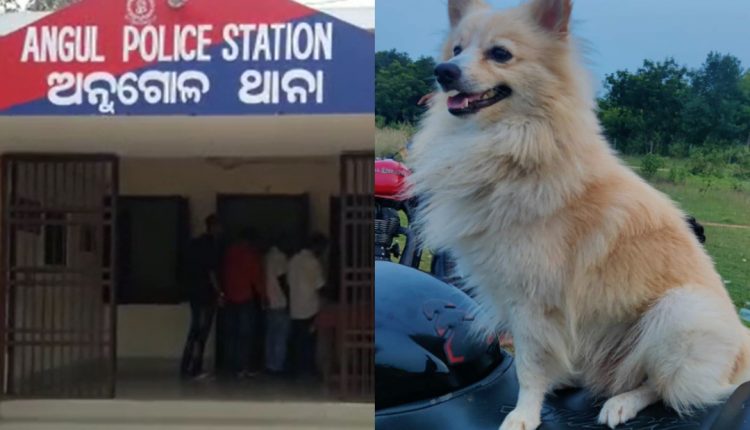 Allegation Of Neighbour Killed Pet Dog In Angul