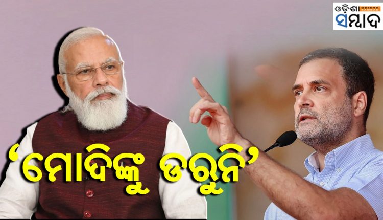 Day After ED Seals Young Indian office Rahul Gandhi Says 'Not Scared Of Modi'