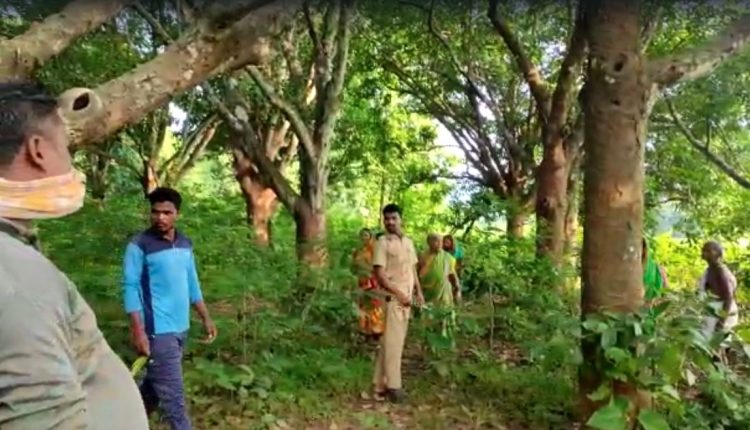 Elephant Dies In Angul Satkoshia