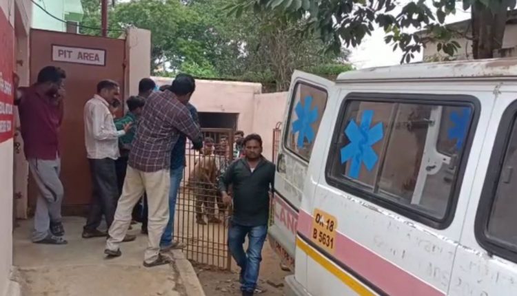 Minor Pregnant Girl Found Dead In Rayagada