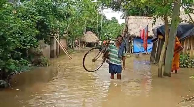 Odisha Floods How Kujanga Block Of Jagatsighpur Affected In Flood