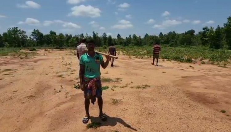 People Not Working But Paid Under MGNREGA Scheme In Odisha's Patnagarh, Allege Workers