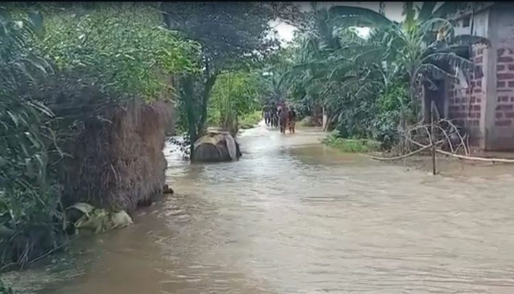 Puri Collector Declared School Closed For Next Two Days For Flood