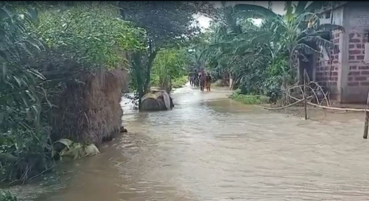 Puri Collector Declared School Closed For Next Two Days For Flood