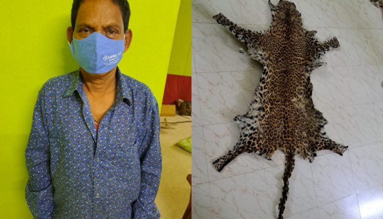 STF Seized Leopard Skin And Arrested One From Tikabali