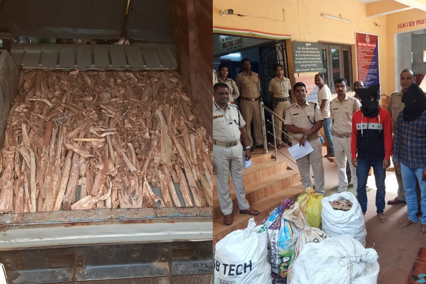 2 Interstate Accused Arrested During Chandan Wood Supplying To Kerala