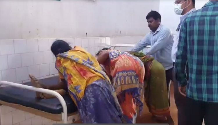 Elephant Attack Couple In Dhenkanal, Husband Killed, Wife Injured