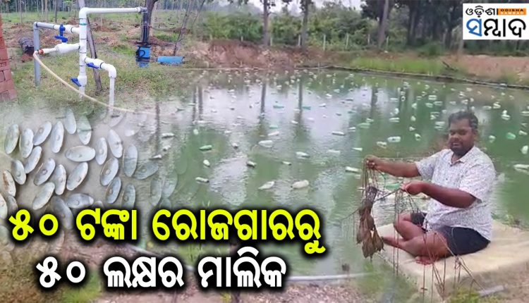 Meet Dhenkanal's Basudev Parida Who Turns As A Successful Farmer From Daily Worker