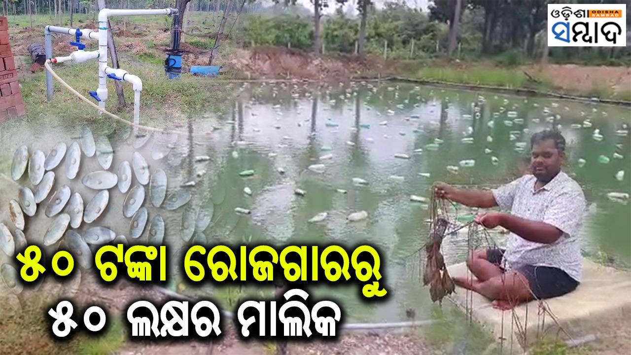 Meet Dhenkanal's Basudev Parida Who Turns As A Successful Farmer From Daily Worker