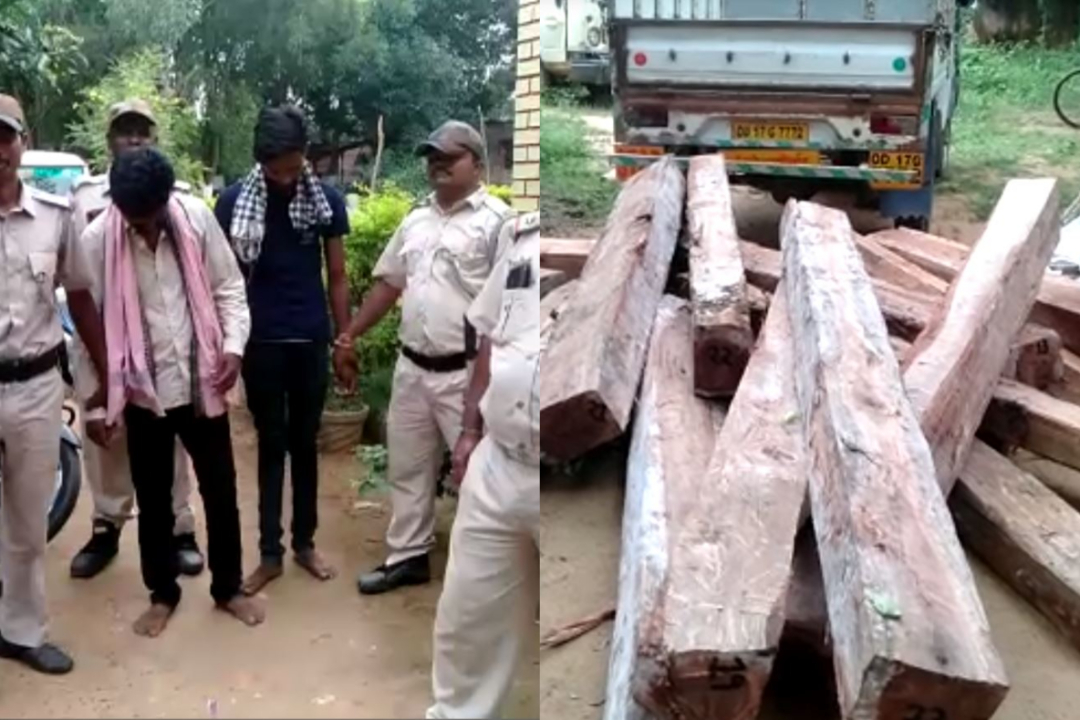 Wood Van Seized And Two Arrested In Sonepur