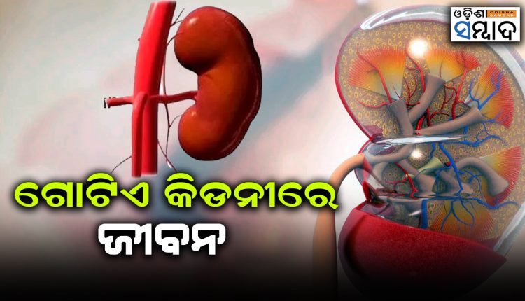 One Kidney And Life, What To Do Kidney Donors