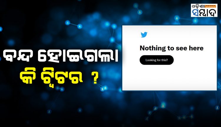 Twitter Down, Number Of Account Deleted Reported