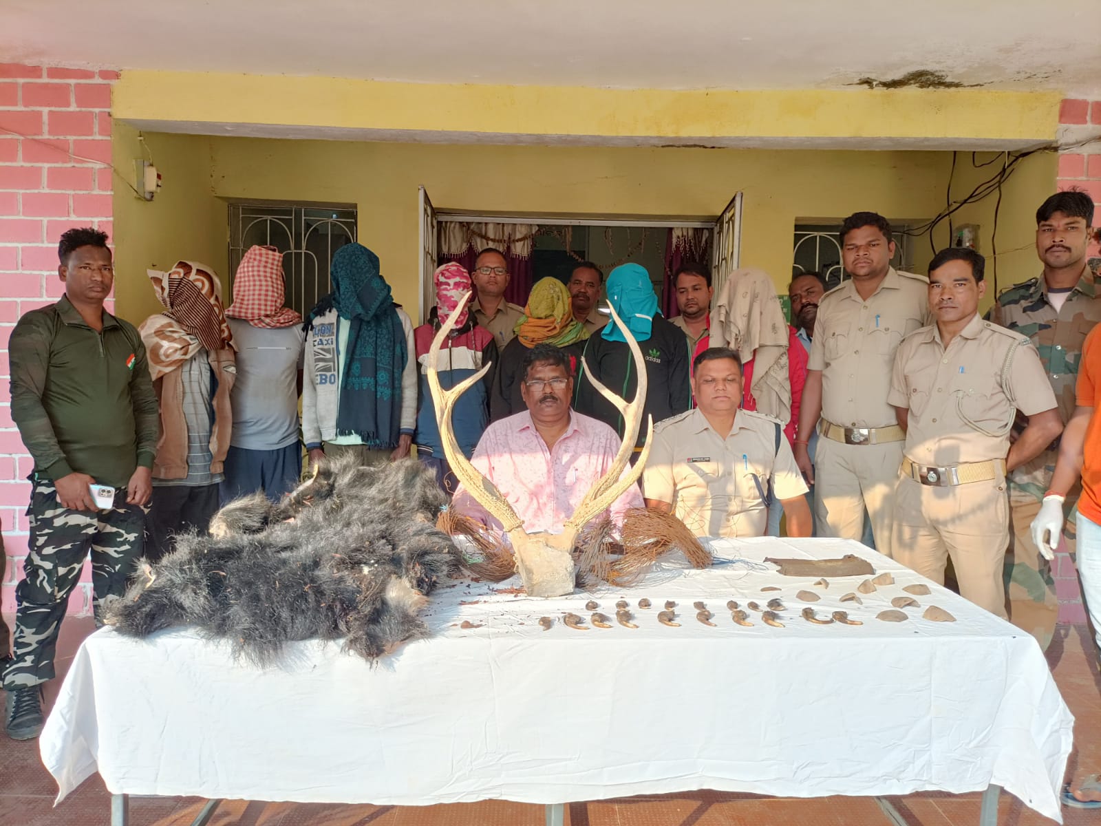 Bargarh Forest Department Seized Bear Skin, Arrested 7 Person