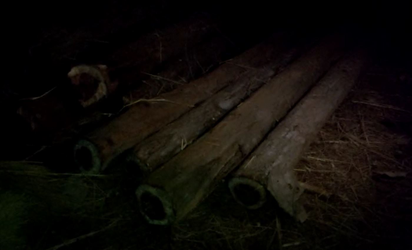 Huge Amount Of Wood Pieces Seized By Forest Department