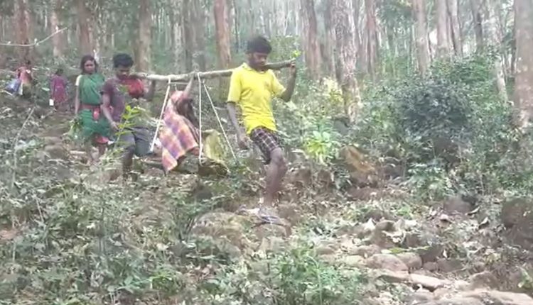 No Road, Pregnant Lady With New Born Baby Carried By People In Jeypore