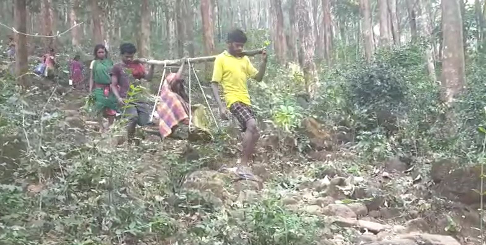 No Road, Pregnant Lady With New Born Baby Carried By People In Jeypore