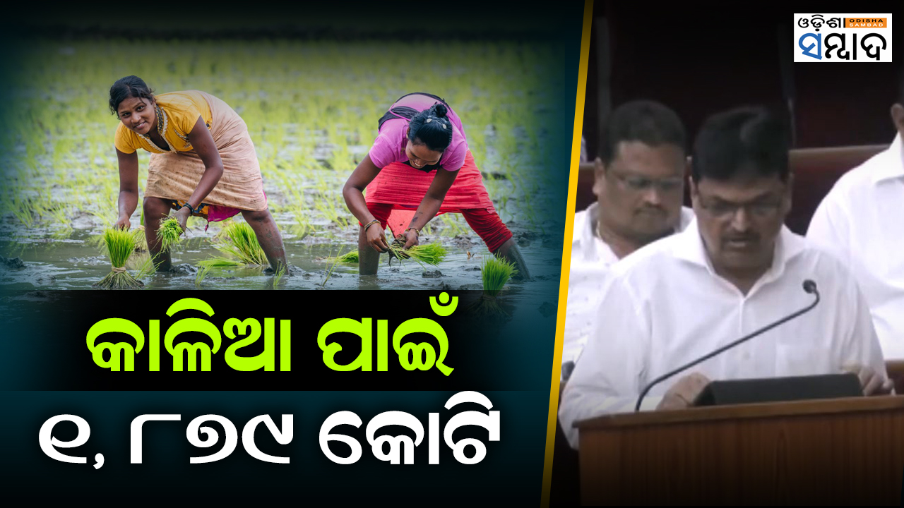 Odisha Budget 24,829 Crore Allocated For Agriculture Sector