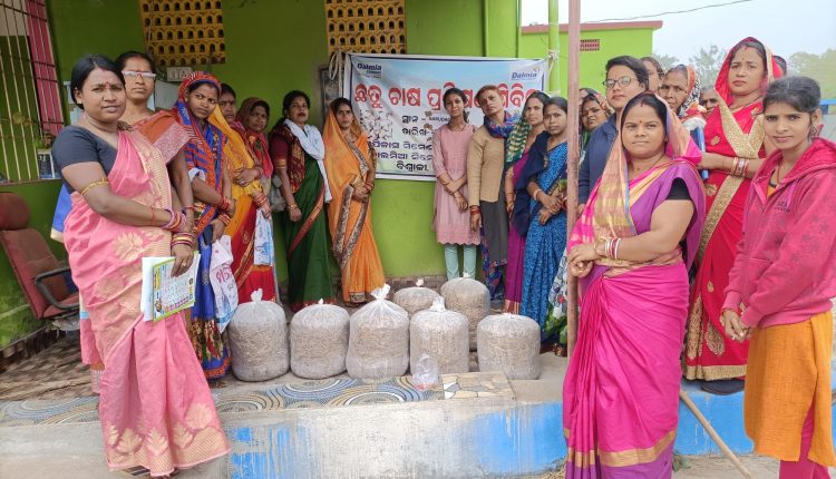 Dalmia Cement Bharat to empower 1 million rural women in Odisha