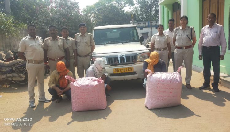 Ganja Seized, 6 Arrested In Angul