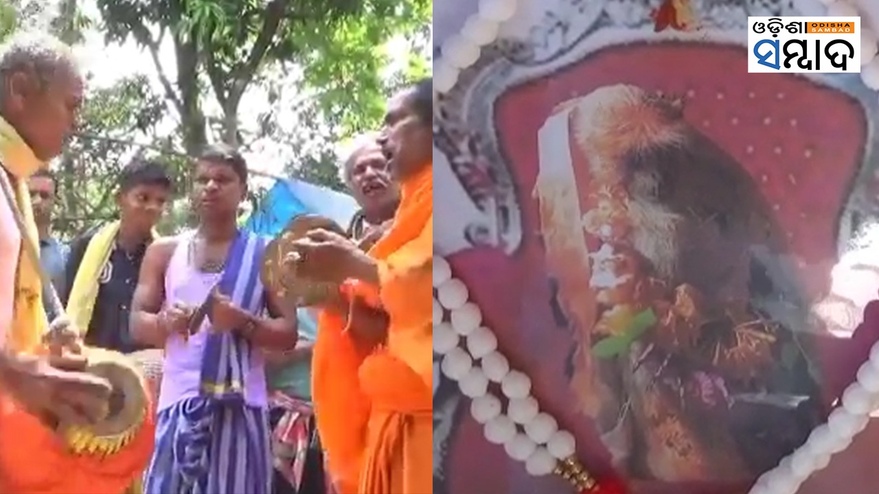 Novel Death Ritual Villagers Organise Community Feast To Pay Tribute To Pet Monkey In Odisha’s Remuna