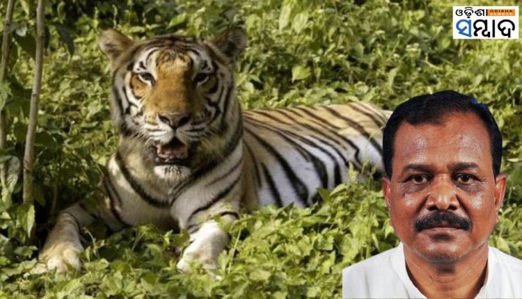 9 Bengal Tigers Died In Odisha In Last 10 Years