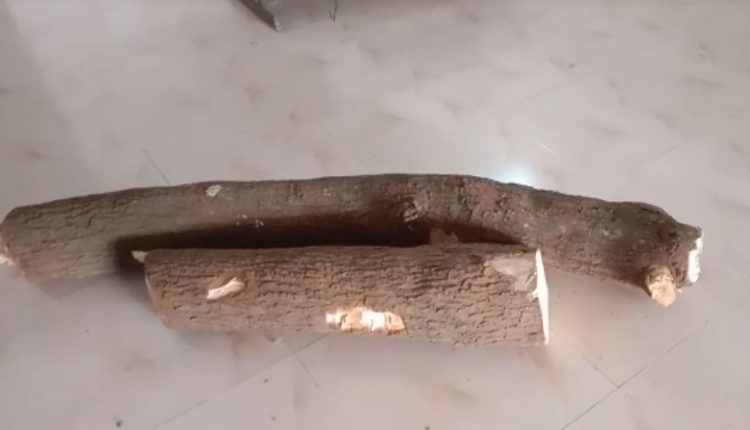 Sandalwood Seized By Koraput Police