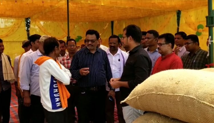 Rabi Paddy Mandi Opened In Nuapada