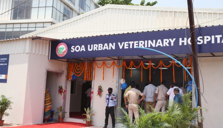 SOA’s Urban Veterinary Hospital In Bhubaneswar Treats Over 5,500 Animals & Birds In 1 Year
