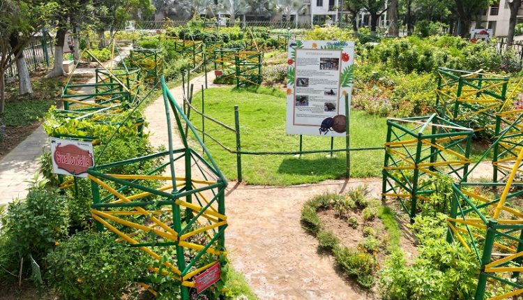 Vedanta Aluminium Jharsuguda establishes Butterfly Park to protect 30+ rare species