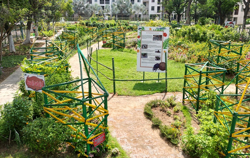 Vedanta Aluminium Jharsuguda establishes Butterfly Park to protect 30+ rare species