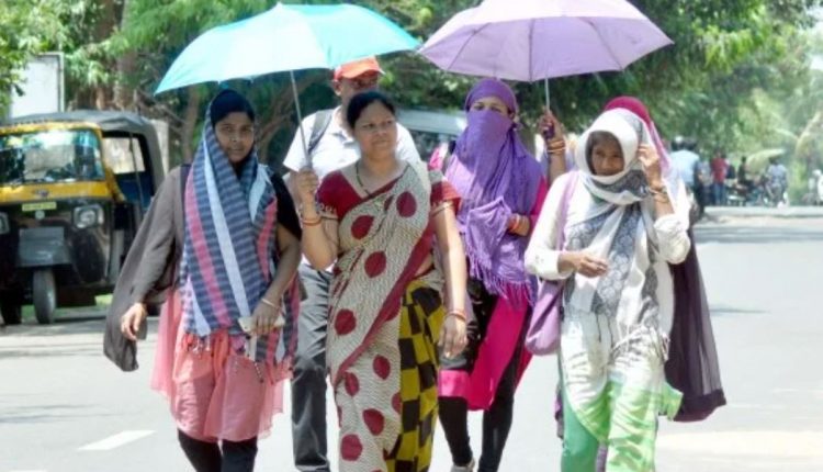 Heatwave Alert For Odisha Sambalpur Hottest At 44.2°C By 2.30PM, Bhubaneswar Records 41°C