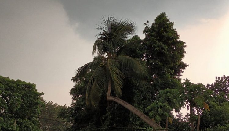 Rain, Gusty Wind Lashes Bhubaneswar City