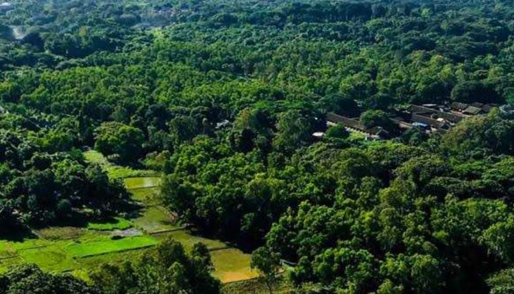 10 Thousand Buildings To Build For Bana Surakhya Samiti In Next 5 Years Across Odisha