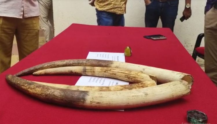 Forest Department Arrested 5 Poachers, Seized 4 Tusks