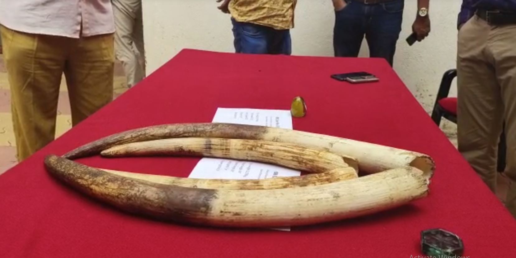 Forest Department Arrested 5 Poachers, Seized 4 Tusks