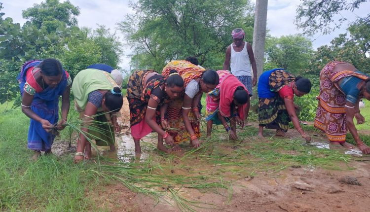 Road Connectivity Problem In Nuapada