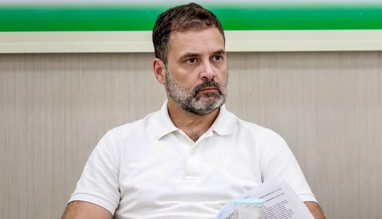 Congress Leader Rahul Gandhi's Reaction After SC Stayed His Conviction in Modi Surname Case